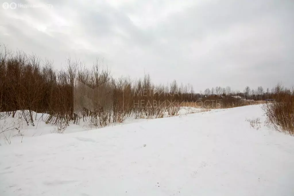 Участок в Тарманское сельское поселение (8 м) - Фото 1