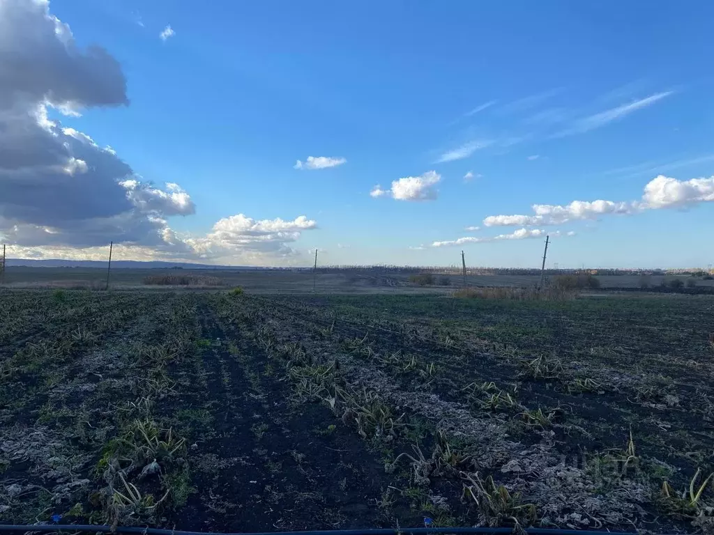 Участок в Краснодарский край, Северская ст-ца  (200.0 сот.) - Фото 0