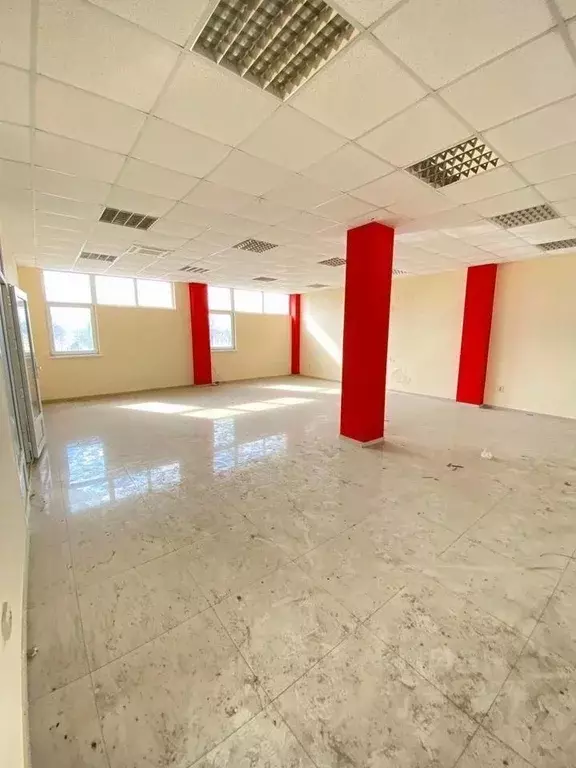 Помещение свободного назначения в Краснодарский край, Анапа Солнечная ... - Фото 1