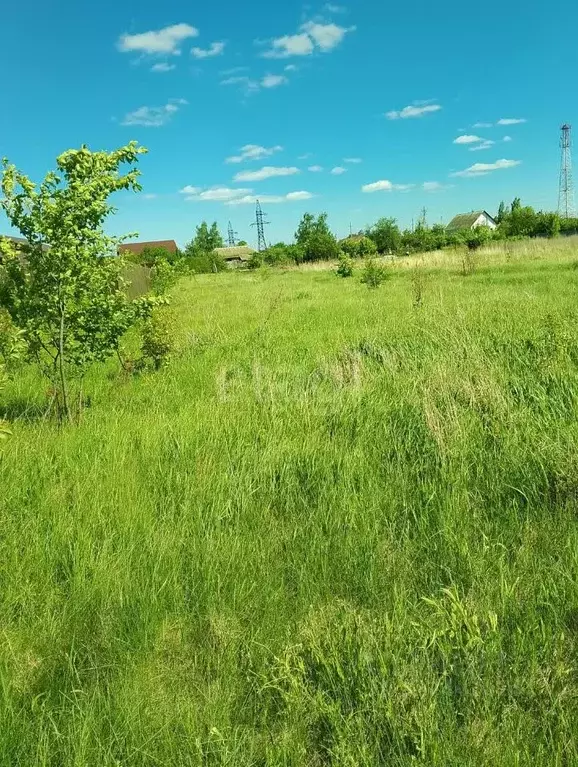 Участок в Воронежская область, Борисоглебский городской округ, с. ... - Фото 1