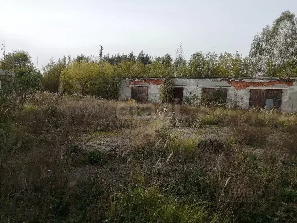 Склад в Брянская область, Клинцовский район, пос. Первое Мая ул. ... - Фото 1