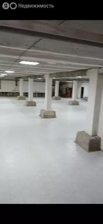 Помещение свободного назначения (909 м) - Фото 2
