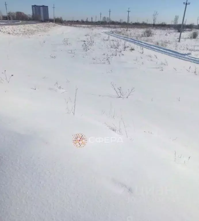 Участок в Новосибирская область, Новосибирский район, с. Криводановка, ... - Фото 1