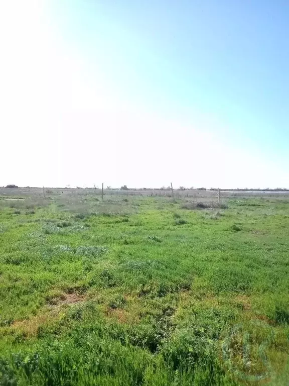 Участок в Крым, Сакский район, с. Молочное  (6.0 сот.) - Фото 0