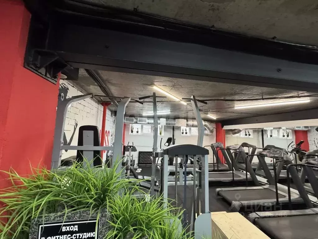 Торговая площадь в Ростовская область, Батайск Рабочая ул., 100 (403 ... - Фото 2