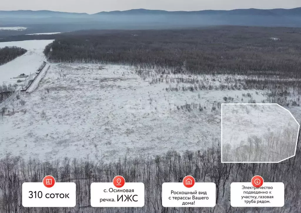 Участок в Хабаровский край, Хабаровский район, Осиновореченское с/пос, ... - Фото 1