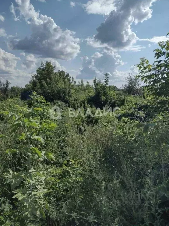 Участок в Нижегородская область, Лысковский район, с. Белозериха ... - Фото 1