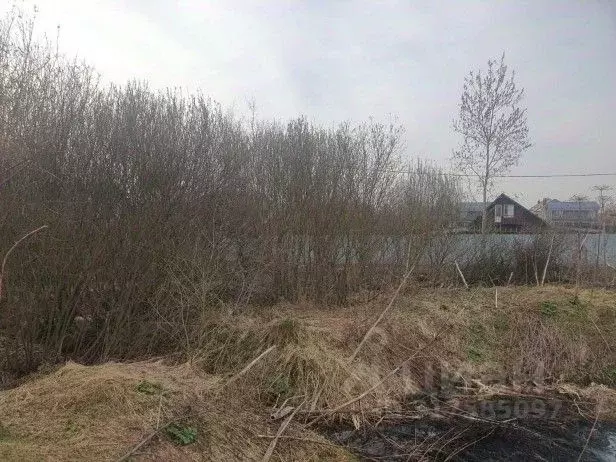 Участок в Московская область, Солнечногорск городской округ, д. Ложки  ... - Фото 0