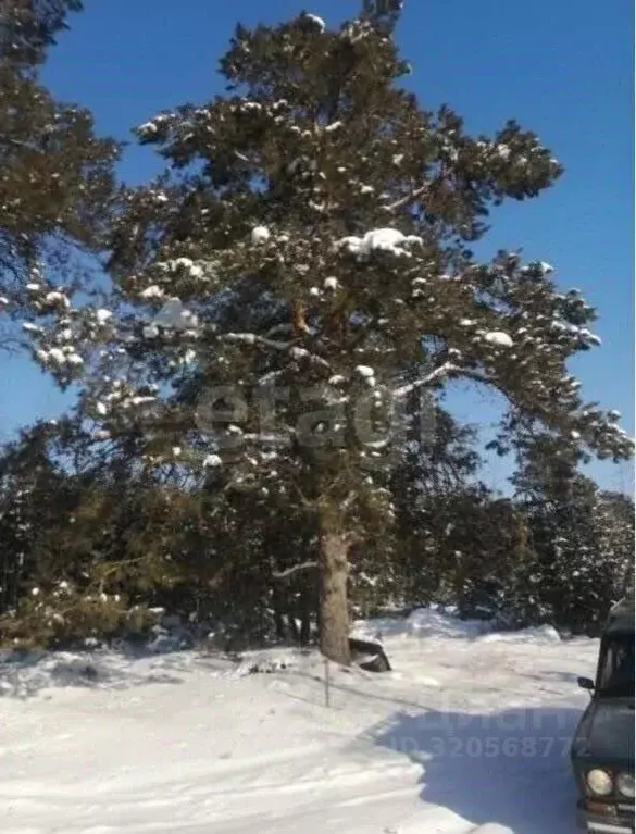 Участок в Саха (Якутия), Якутск Экспериментальная ул. (7.28 сот.) - Фото 1