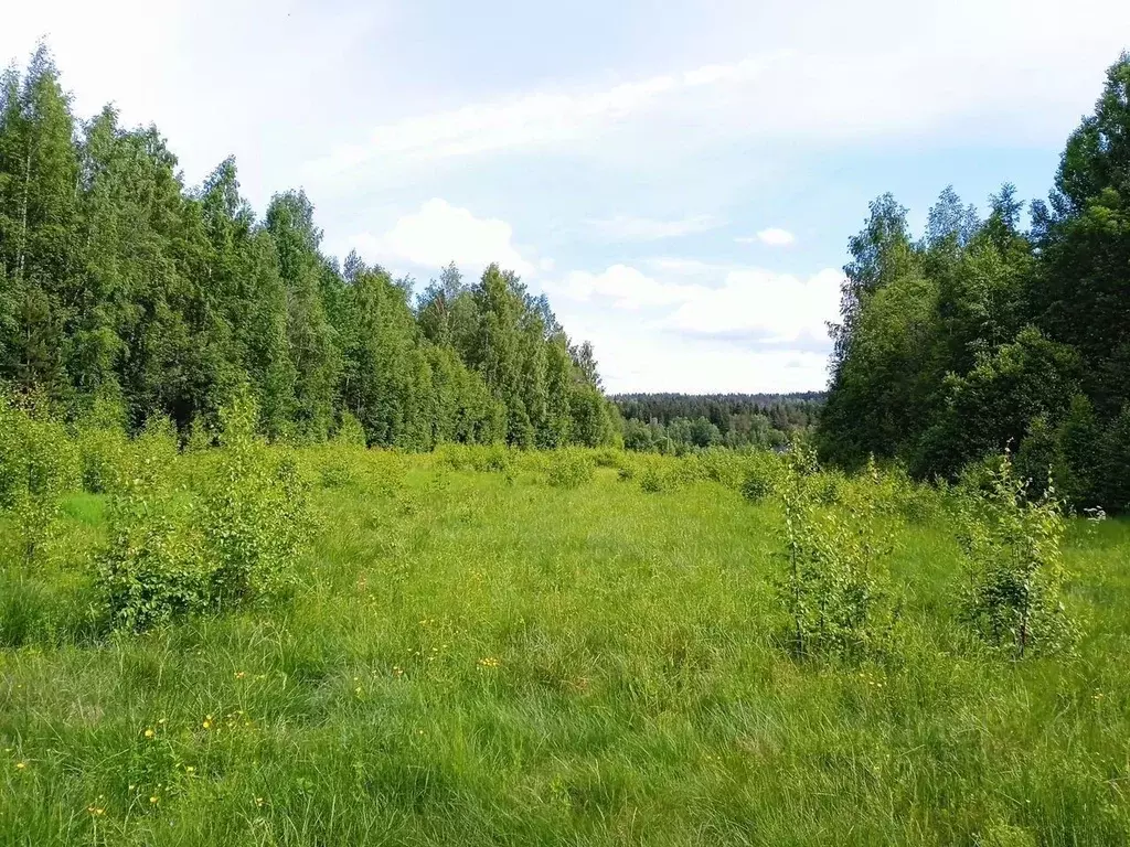 Участок в Ленинградская область, Выборгский район, Полянское с/пос  ... - Фото 1