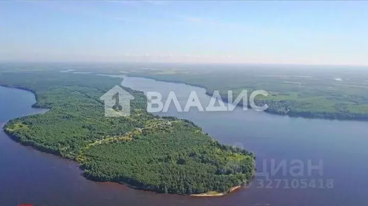 Участок в Нижегородская область, Сокольский муниципальный округ, д. ... - Фото 1