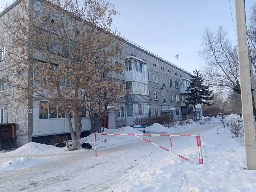 3-к кв. Омская область, Кормиловка рп ул. Ленина, 113 (63.6 м) - Фото 0