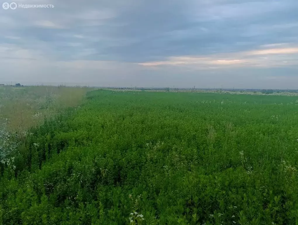 Участок в Кабардино-Балкарская Республика, Чегем (8 м) - Фото 2