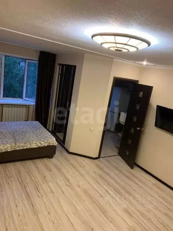 1-к кв. Томская область, Томск ул. Елизаровых, 43 (30.0 м) - Фото 1