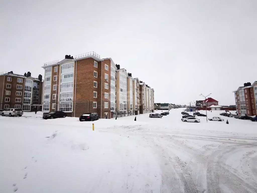 Офис в Белгородская область, Белгородский район, Северный городское ... - Фото 1