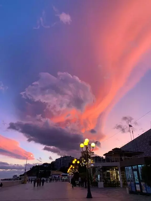 Студия Крым, Алушта ул. Западная, 4к3 (25.7 м) - Фото 1