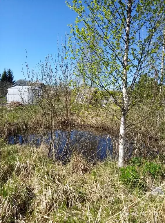 Участок в Новгородская область, Новгородский район, Ермолинское с/пос, ... - Фото 1