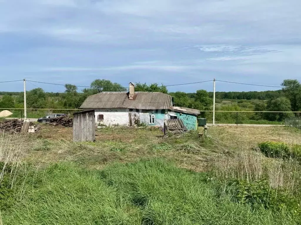 Дом в Липецкая область, Хлевенский район, Синдякинский сельсовет, с. ... - Фото 0