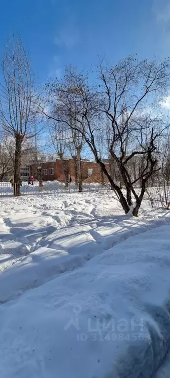 1-к кв. Новосибирская область, Новосибирск Выборная ул., 116 (30.0 м) - Фото 0
