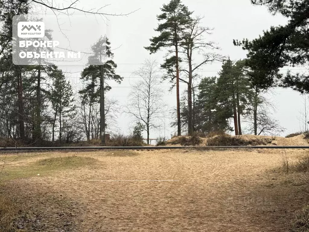 Участок в Санкт-Петербург, Санкт-Петербург, Сестрорецк Купальный пер. ... - Фото 1
