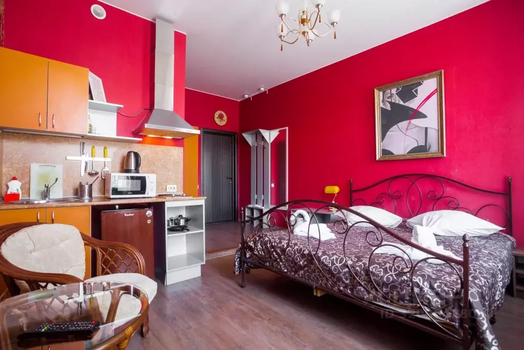 1-к кв. Санкт-Петербург Старо-Петергофский просп., 9б (24.0 м) - Фото 1