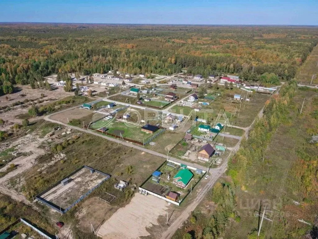Участок в Тюменская область, Нижнетавдинский район, с. Тюнево  (10.0 ... - Фото 2