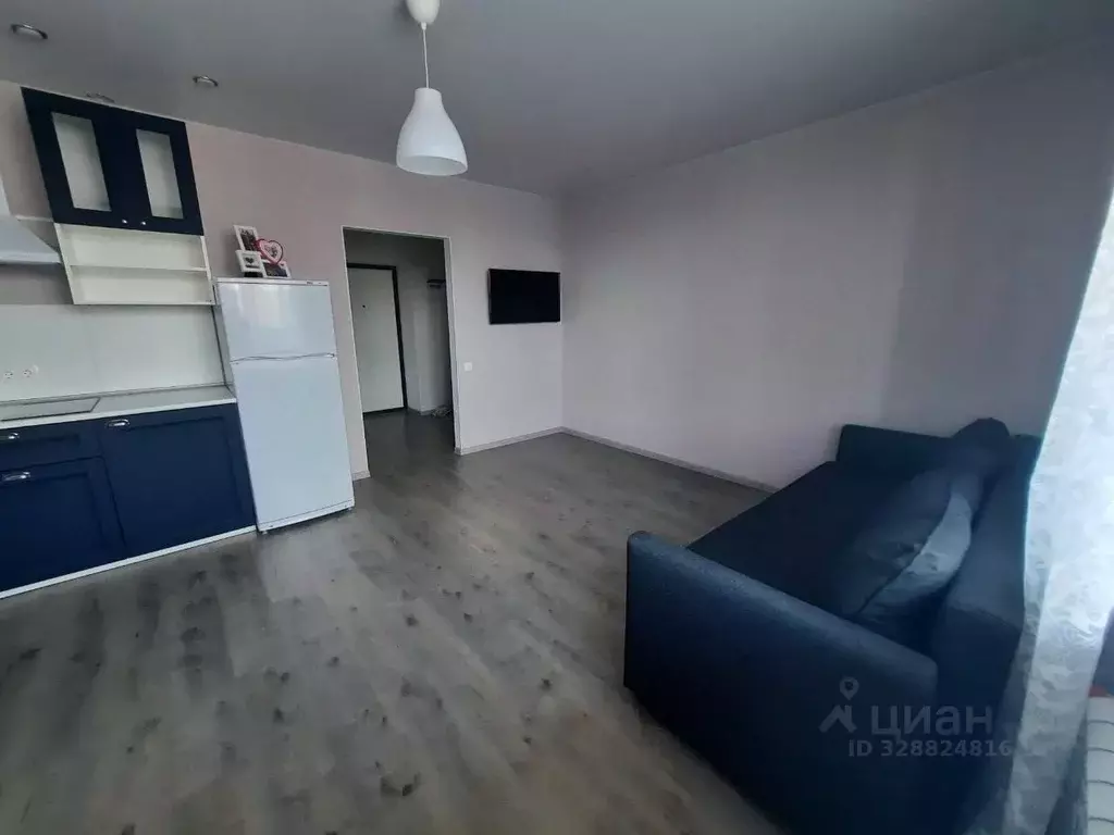 Студия Самарская область, Самара просека 5-я, 135 (30.0 м) - Фото 2