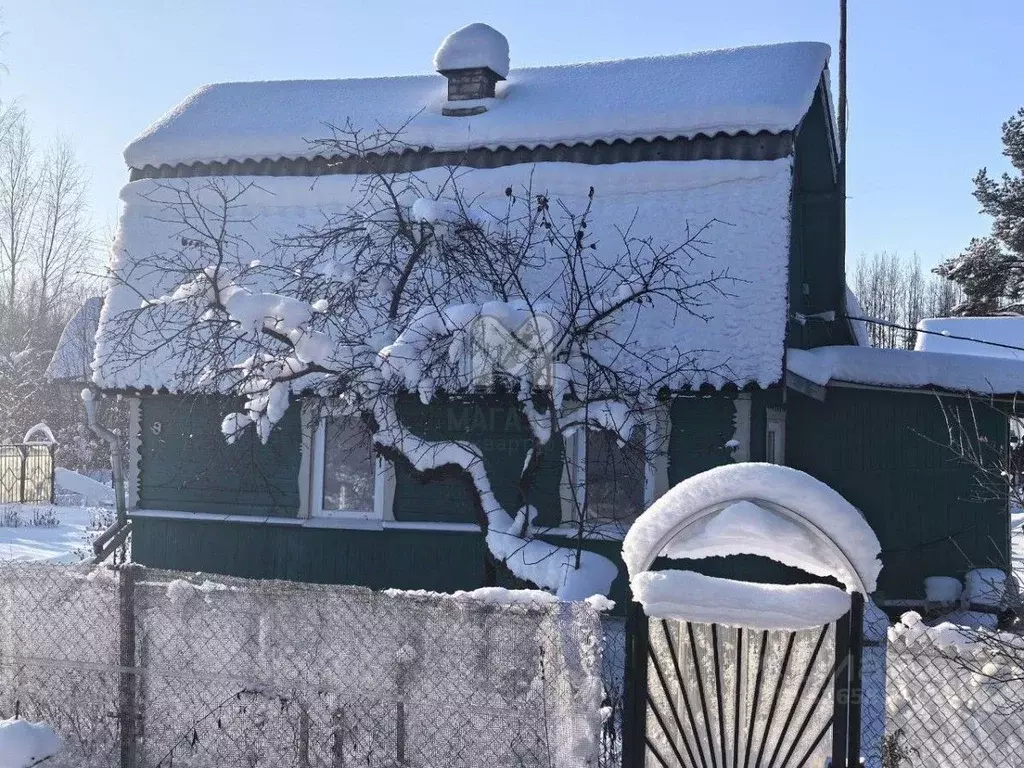 Дом в Ленинградская область, Лужский район, Мшинское с/пос, Мшинская ... - Фото 1