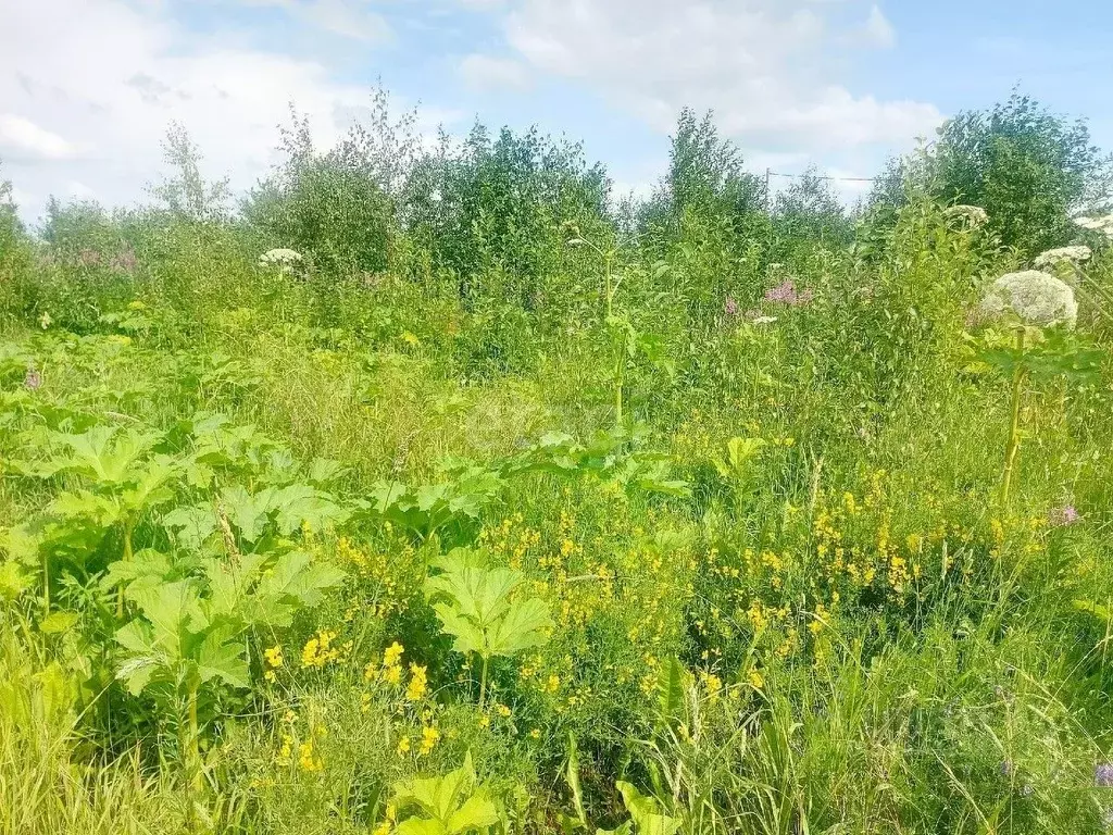 Участок в Коми, Сыктывдинский район, с. Выльгорт  (12.2 сот.) - Фото 0