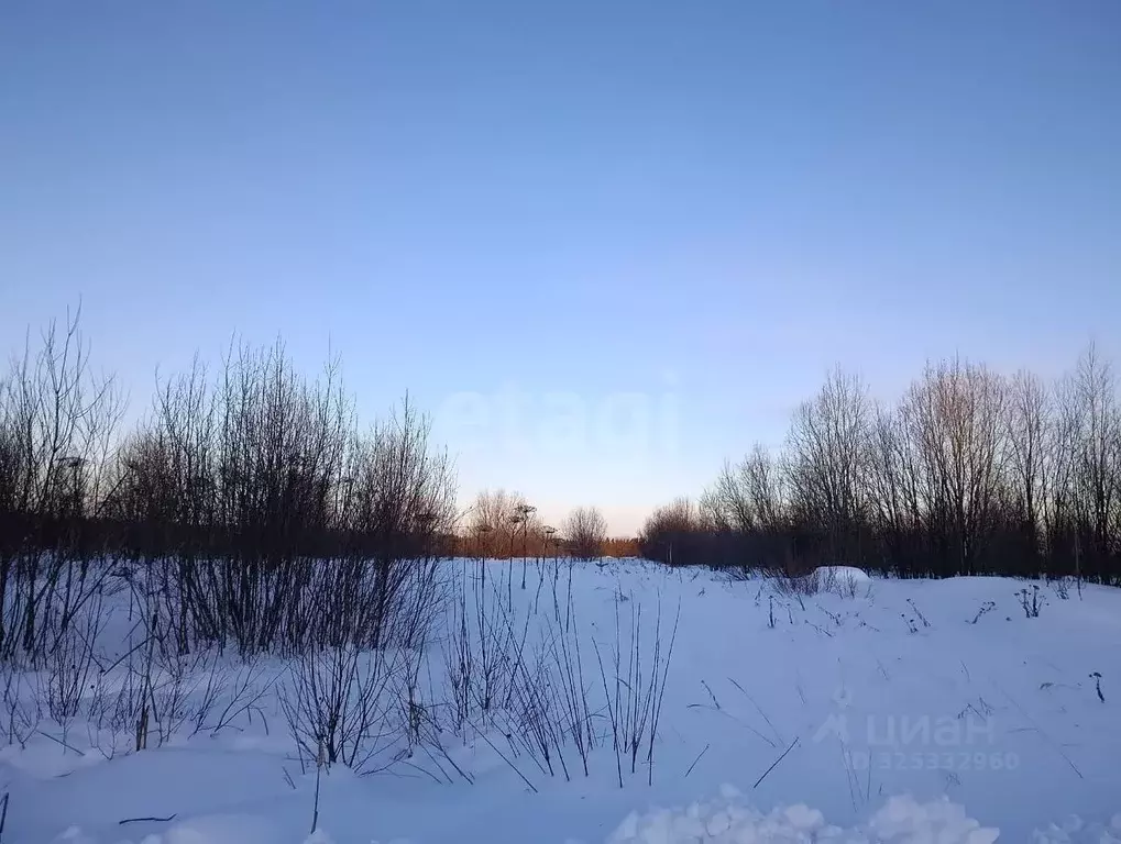 Участок в Вологодская область, Великоустюгский муниципальный округ, ... - Фото 1