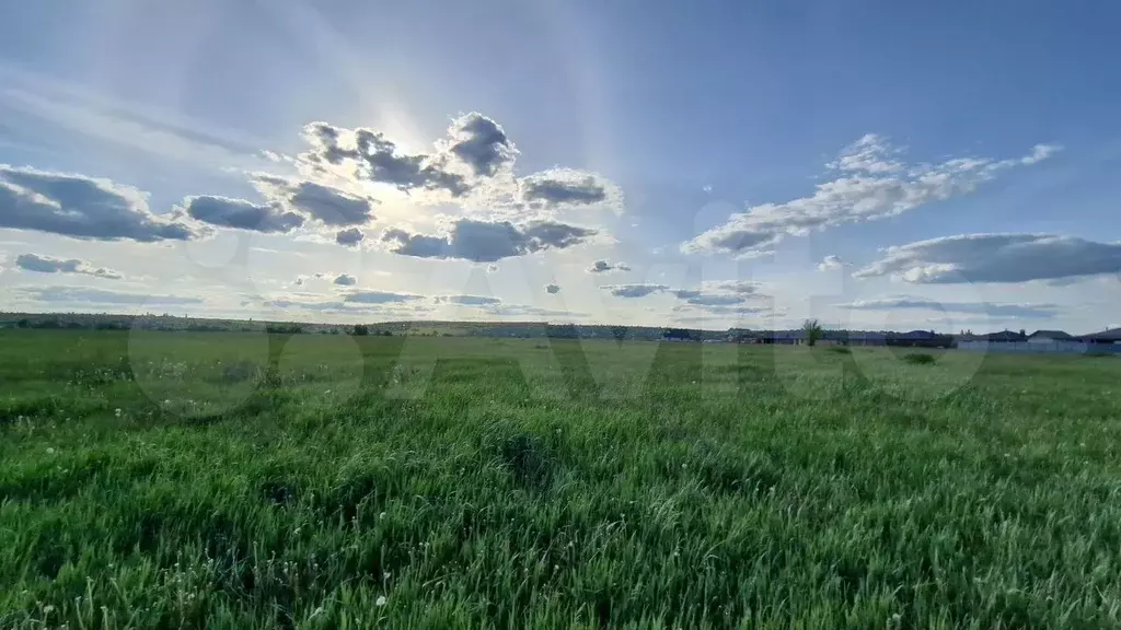 Участок 2,5 га (ИЖС) - Фото 1