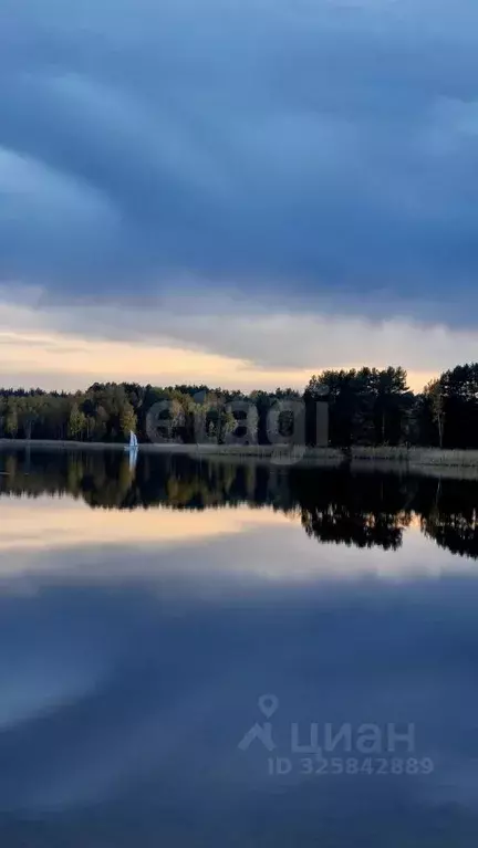 Участок в Нижегородская область, Навашинский муниципальный округ, с. ... - Фото 2