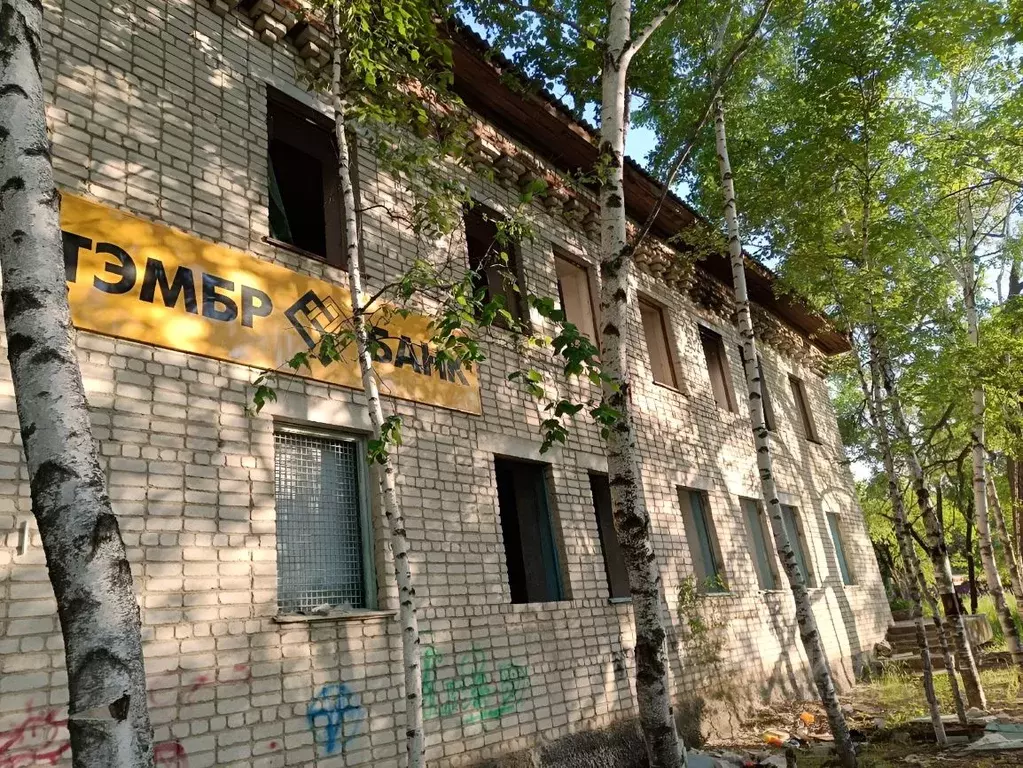 Участок в Амурская область, Благовещенск городской округ, с. Белогорье ... - Фото 0