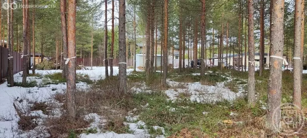 Участок в Сертоловское городское поселение, садоводческое ... - Фото 0
