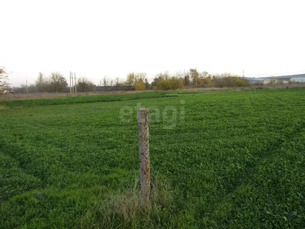 Участок в Ставропольский край, Предгорный муниципальный округ, село ... - Фото 1