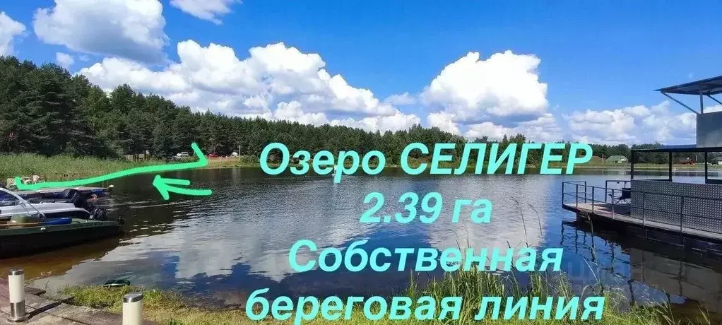 Участок в Тверская область, Осташковский муниципальный округ, Деревня ... - Фото 1