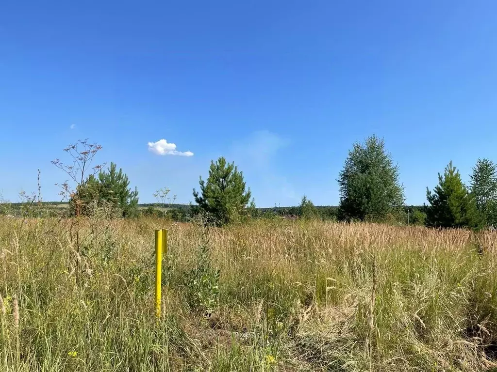 Участок в Татарстан, Нижнекамский район, Шингальчинское с/пос, д. ... - Фото 1