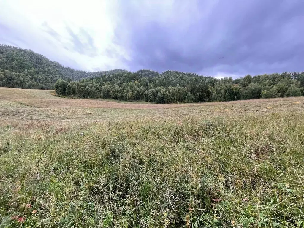Участок в Алтай, Чемальский район, Чемальское с/пос  (10.0 сот.) - Фото 1