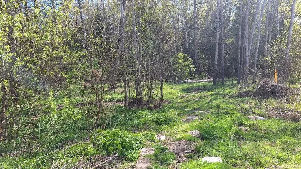 Участок в Калужская область, Жуковский район, Белоусово городское ... - Фото 0