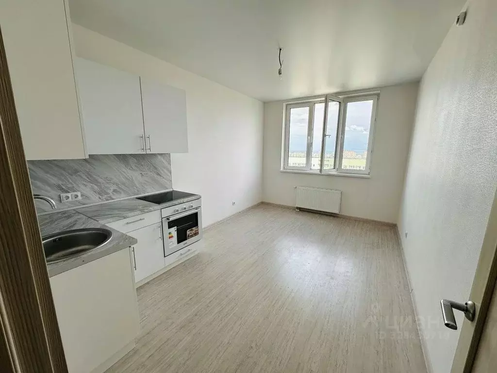 1-к кв. Нижегородская область, Нижний Новгород д. Анкудиновка, ул. ... - Фото 1