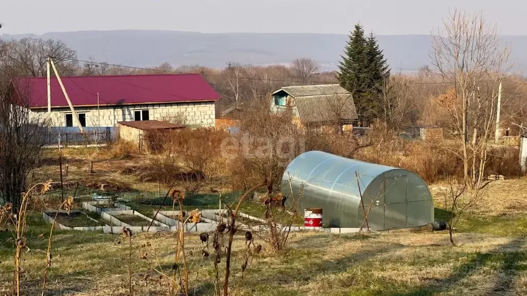 Участок в Приморский край, Надеждинский район, Здоровье-1 СНТ ул. ... - Фото 0