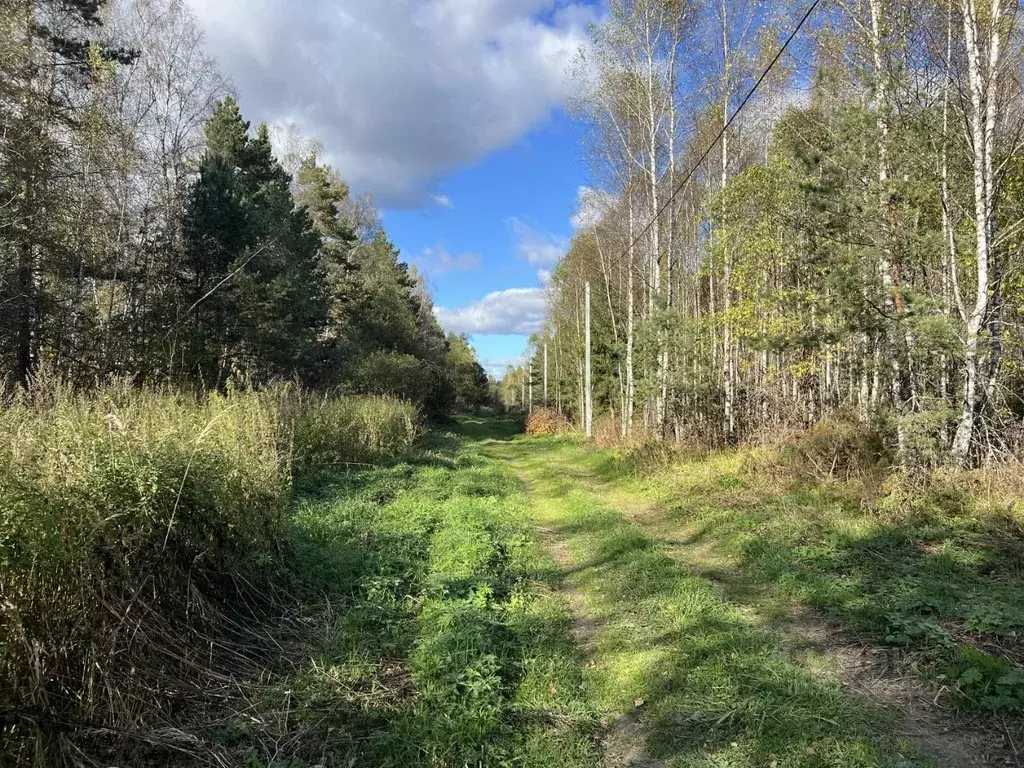 Участок в Владимирская область, Александровский муниципальный округ, ... - Фото 2