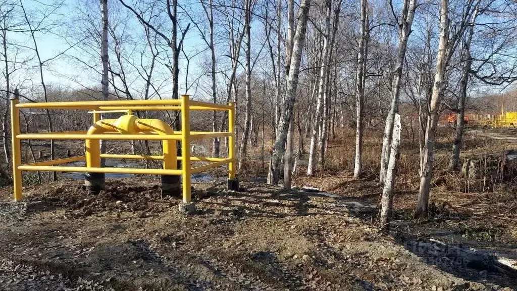 Участок в Сахалинская область, Долинский городской округ, с. Сокол ул. ... - Фото 1