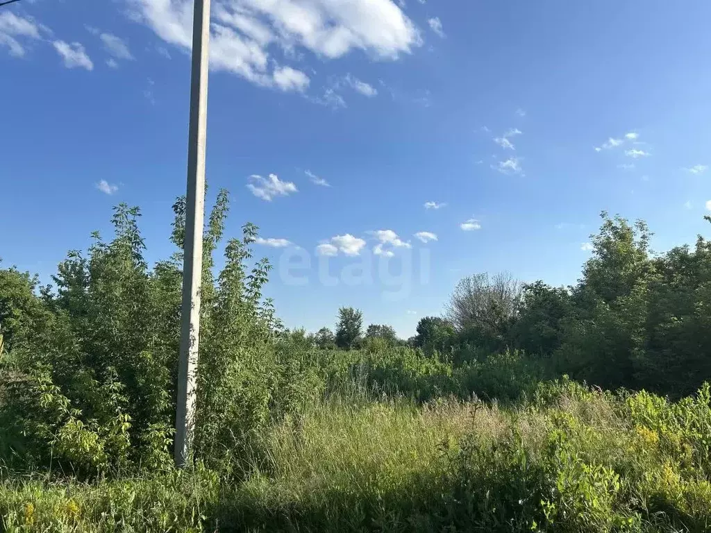 Участок в Саратовская область, Балашовский район, Репинское ... - Фото 1