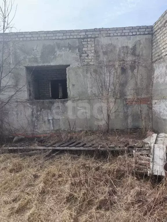 Участок в Амурская область, Белогорск Поселок остров, ул. 1-я ... - Фото 0