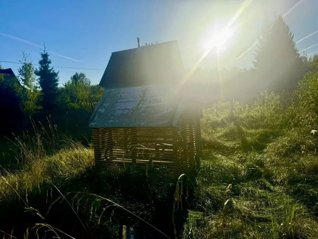 Участок в Ленинградская область, Лужский район, Мшинское с/пос, ... - Фото 2