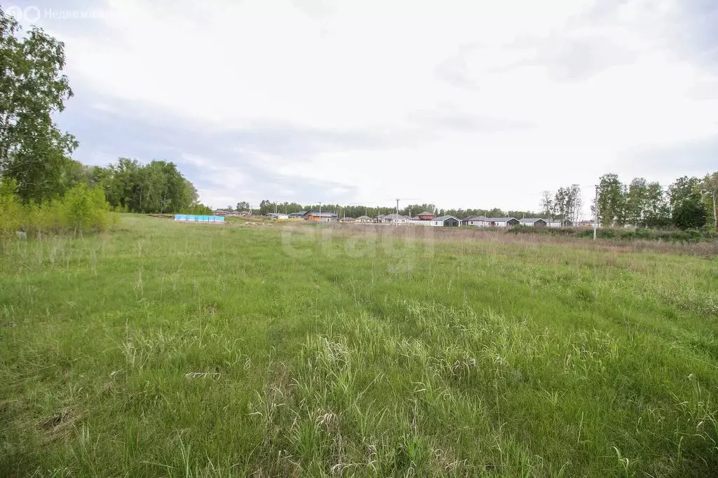 Участок в Алтайский край, городской округ Барнаул, посёлок Центральный ... - Фото 2