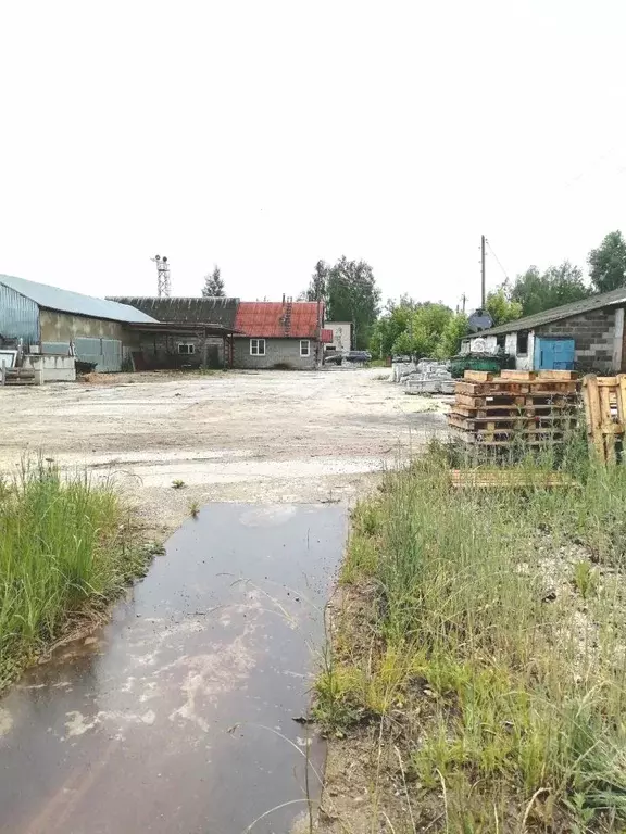 Производственное помещение в Рязанская область, Клепиковский район, ... - Фото 2