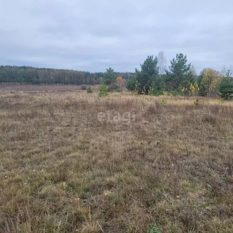 Участок в Владимирская область, Муром д. Коржавино,  (10.38 сот.) - Фото 0