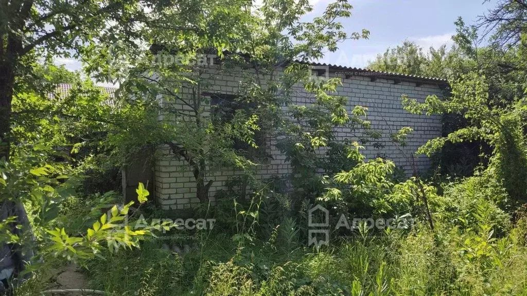 Дом в Волгоградская область, Волгоград Дзержинец СНТ, Винновский ... - Фото 1